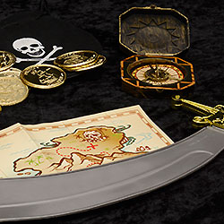 Captain Jacx Piratenparty